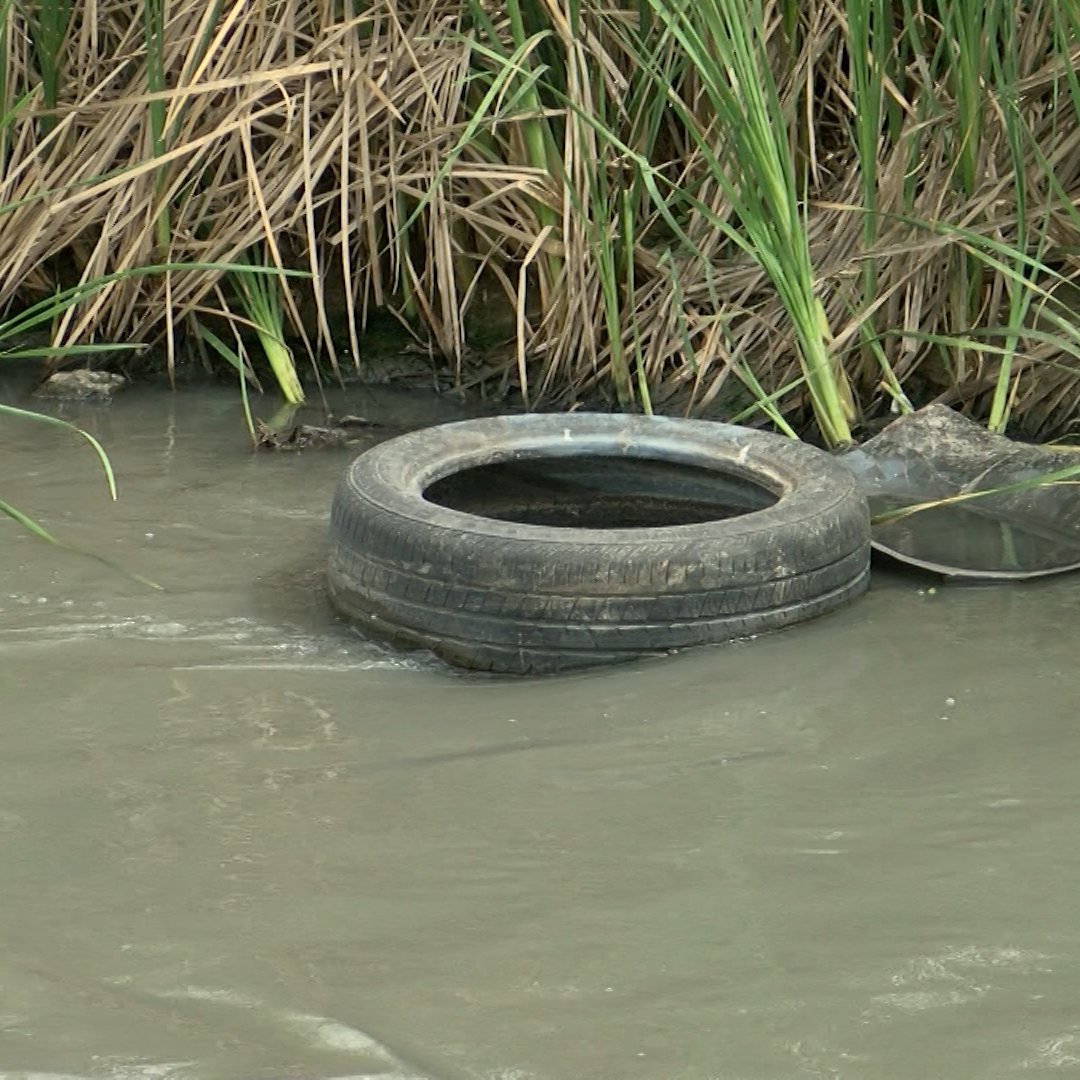 Descargas de Aguas Residuales